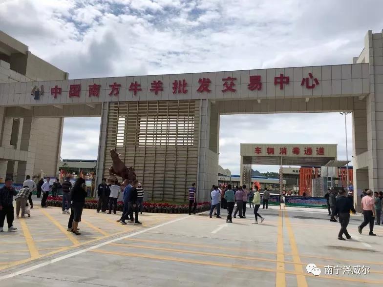 澤威爾參加中國南方牛羊批發(fā)交易市場開業(yè)展覽會