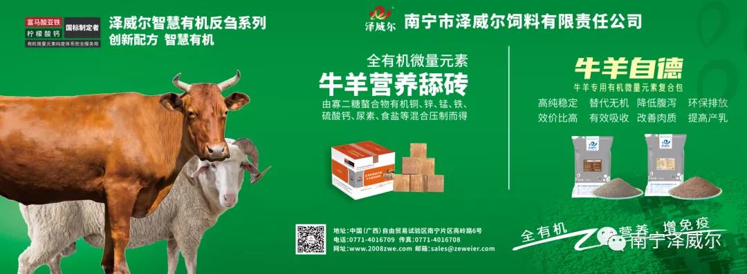 澤威爾參加中國南方牛羊批發(fā)交易市場開業(yè)展覽會