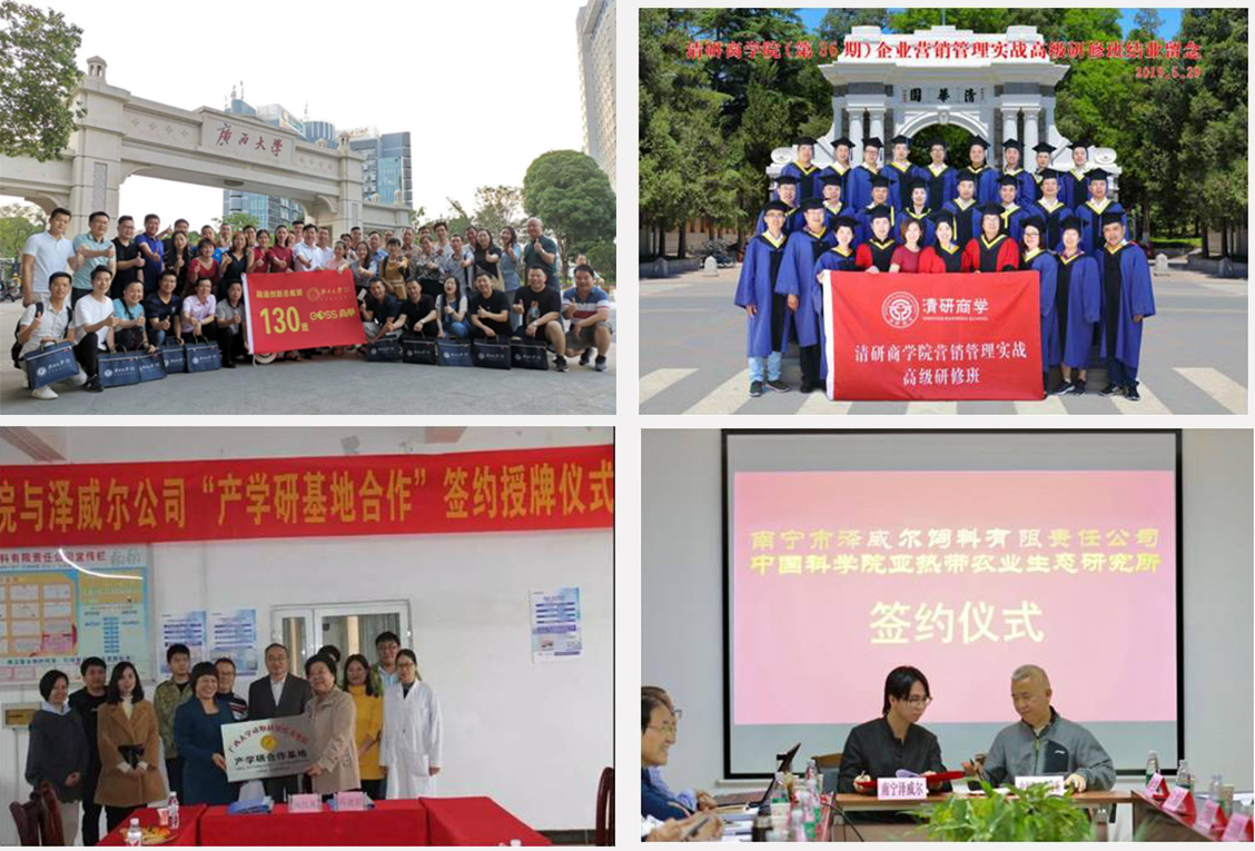 澤威爾團隊介紹