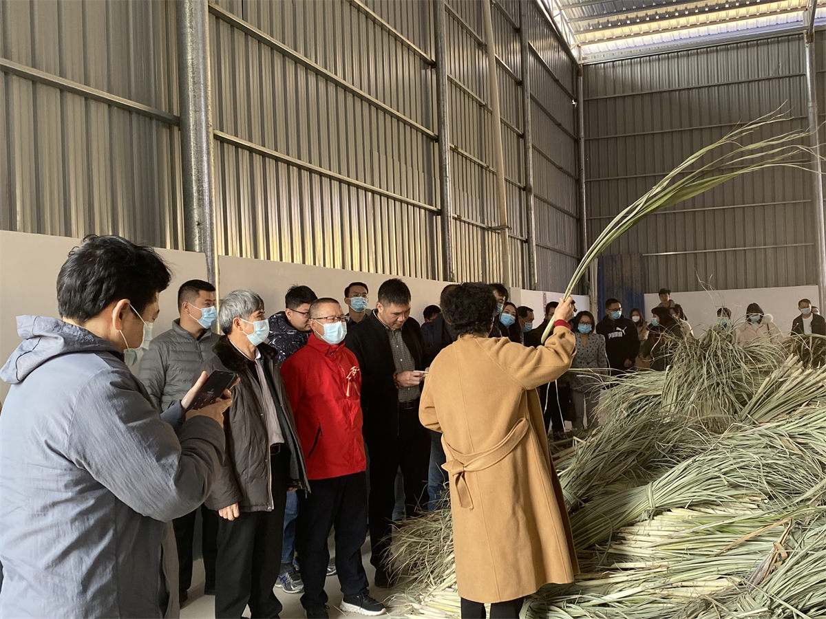 參觀年產(chǎn)2萬(wàn)噸單細(xì)胞飼料蛋白項(xiàng)目
