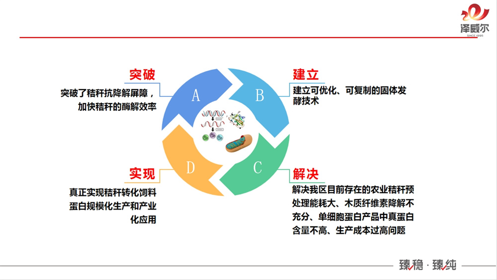 南方草食動物產(chǎn)業(yè)創(chuàng)新聯(lián)盟成立大會 (1)